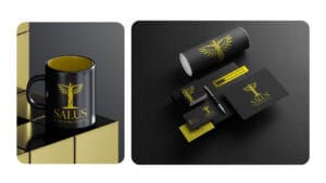 EX Studio Work Salus Business Masterclass Website
