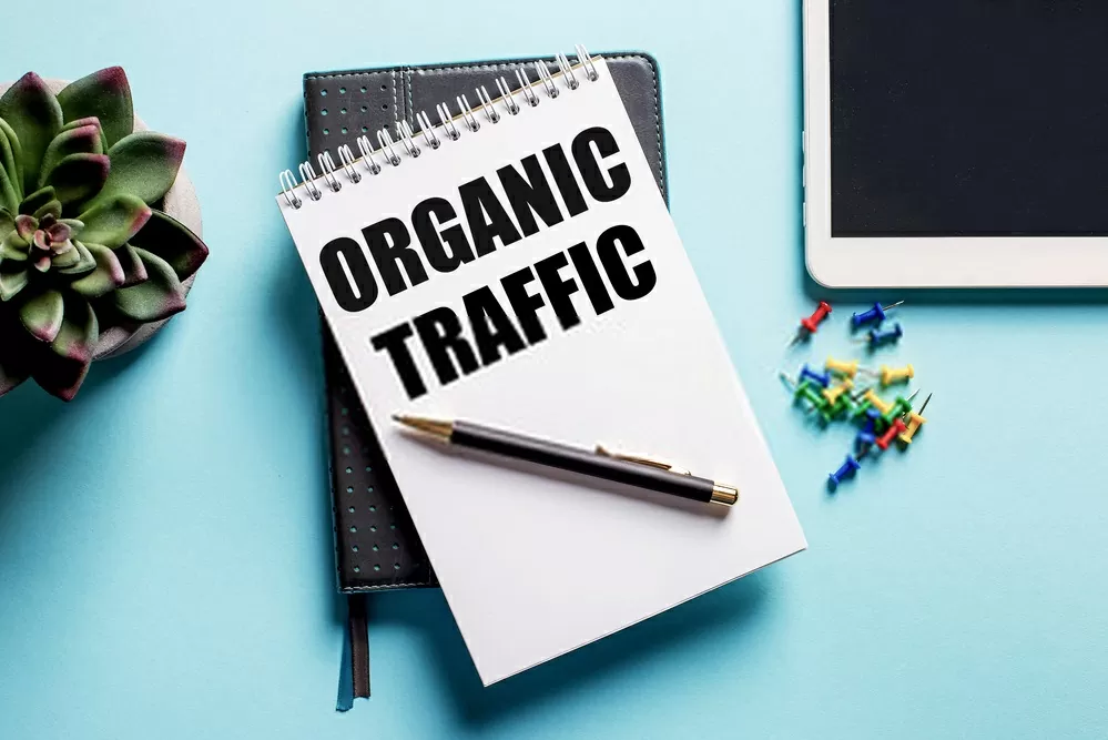 Invest-di-organic-search-traffic.webp | Ex Studio